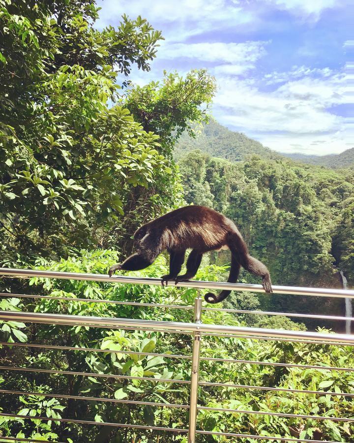 Villa Tucan La Fortuna 外观 照片